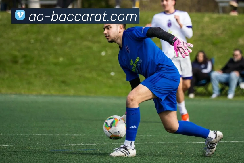 百家乐官网服务体系